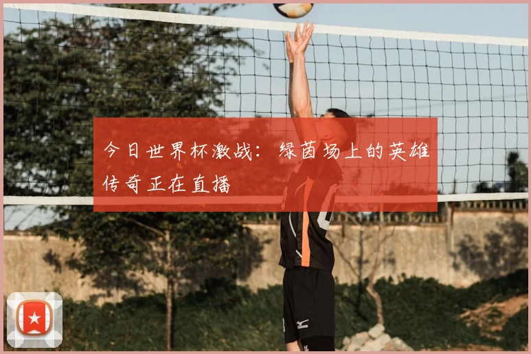 今日世界杯激战:绿茵场上的英雄传奇正在直播