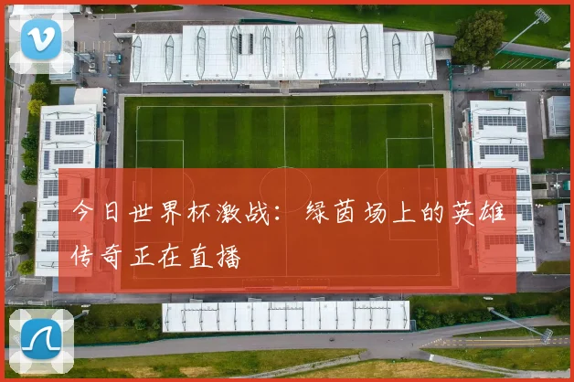 今日世界杯激战：绿茵场上的英雄传奇正在直播